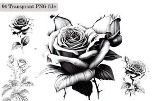 A Beautiful Rose Black and White Line Pl