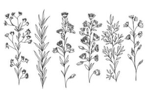 Abstract Flower Line Art Design
