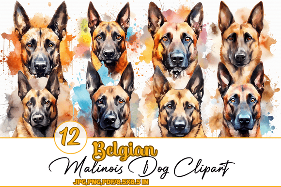 Belgian Malinois Dog Clipart