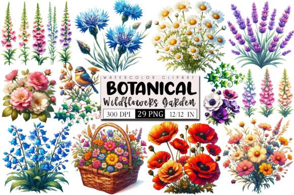Botanical Wildflowers Garden Clipart