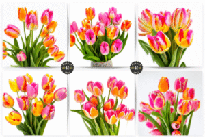 Bouquets of Spring Flowers Tulips