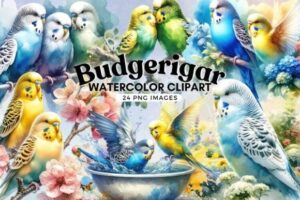 Budgerigar Watercolor Clipart Bundle