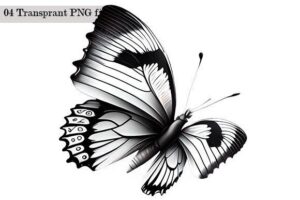 Butterfly Clipart Black and White Butter