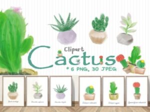 Cute Cactus Watercolor Set