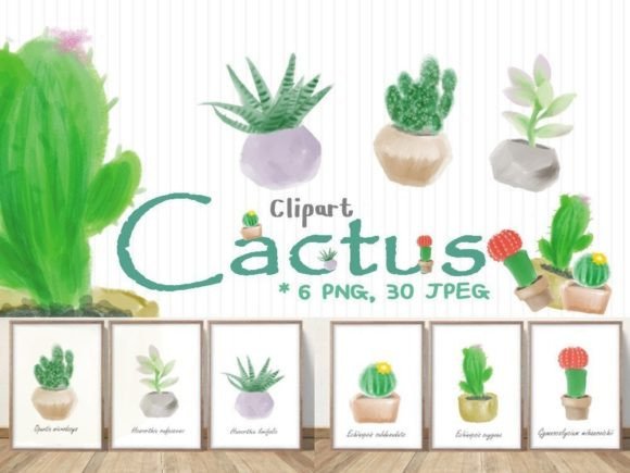 Cute Cactus Watercolor Set