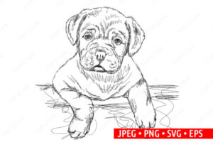 Cute Sad Dog Illustration Drawing Sketch