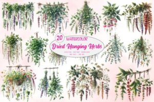 Dried Hanging Herbs PNG Bundle