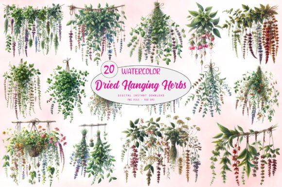 Dried Hanging Herbs PNG Bundle