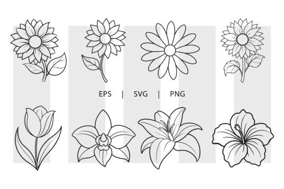 Flower Outline Illustration Bundle