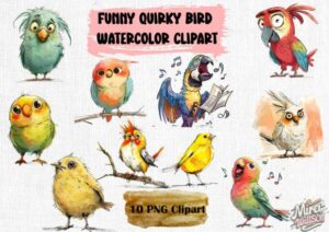 Funny Quirky Bird Bundle Clipart