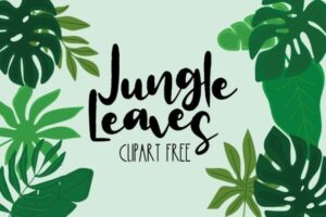 Jungle Leaves Clipart Free