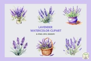 Lavender Watercolor ClipArt Sublimation