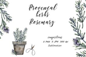Rosemary Provence Herbs JPG, PNG
