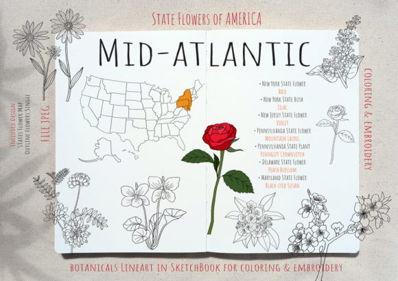 Mid-Atlantic State Flowers