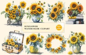 Sunflower Watercolor Clipart