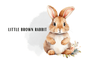 Very Cute Brown Rabbit Element