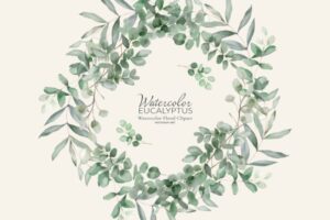 Watercolor Eucalyptus Clipart Set