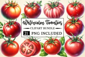 Watercolor Tomatoes Clipart