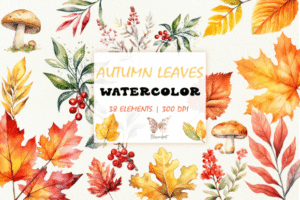 Autumn Leaves Cliparts Bundle