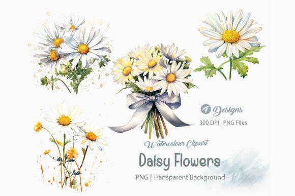 Daisy Flowers Clipart PNG, Daisies Art