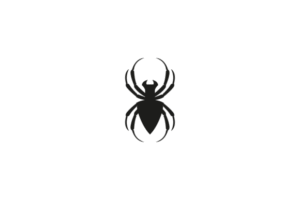 Spider Logo