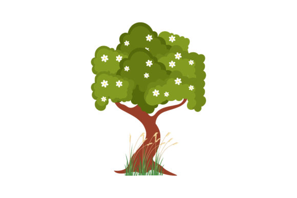 Tree Flower Botany