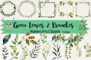 Watercolor Green Leaves & Branches