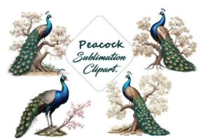 Watercolor Peacock Sublimation Bundle.